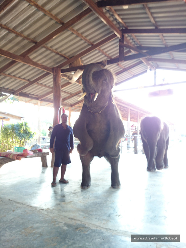 photo 1636234
