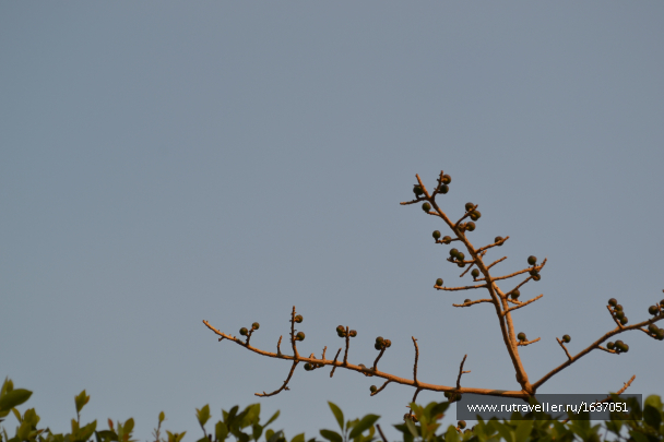 photo 1636885