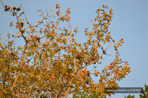 photo 1636886