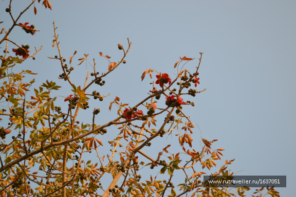 photo 1636891