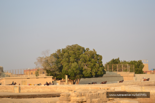 photo 1636893