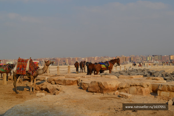 photo 1636943