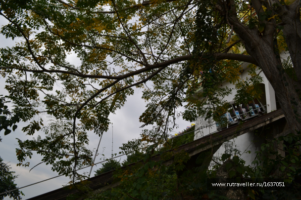 photo 1637308