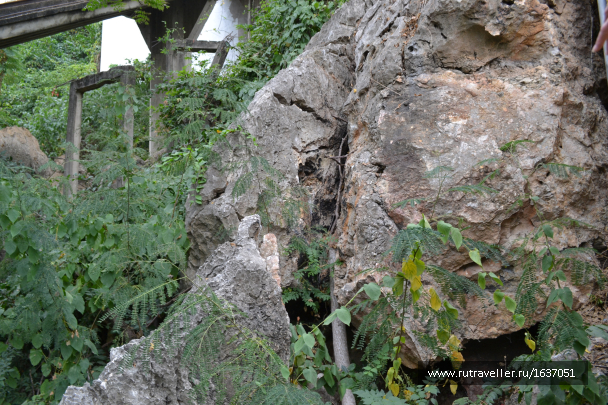 photo 1637309
