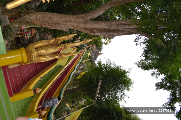 photo 1637314