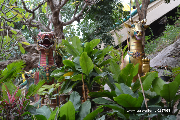 photo 1637317