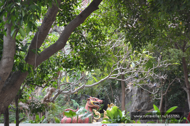 photo 1637348