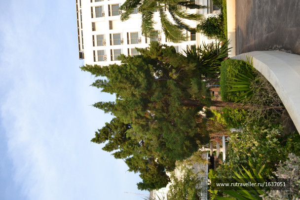 photo 1637404