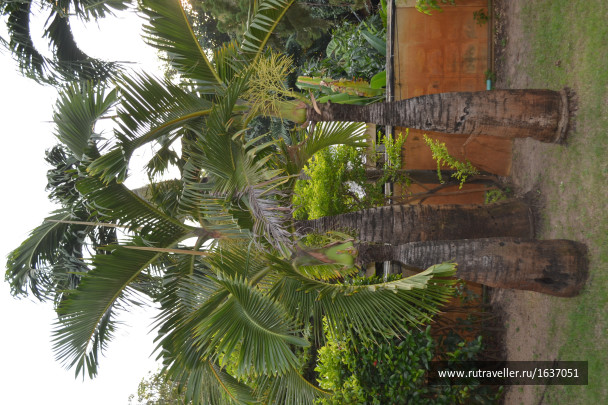 photo 1637409