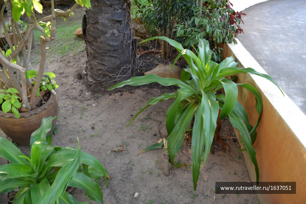 photo 1637410