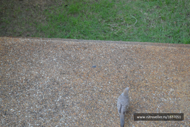 photo 1637413
