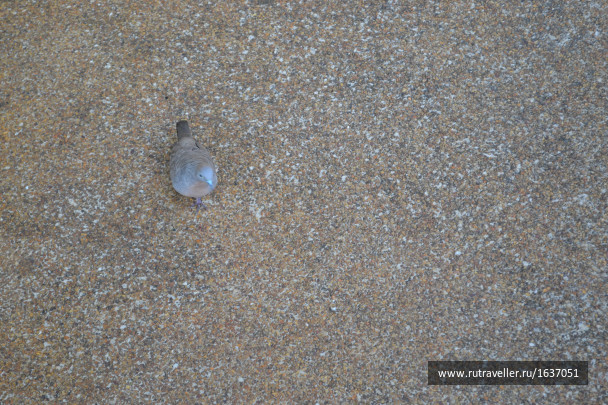 photo 1637414