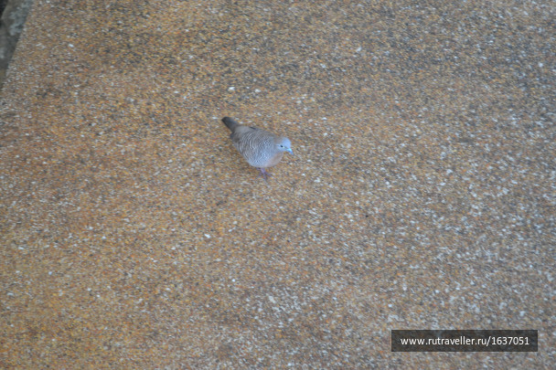 photo 1637415
