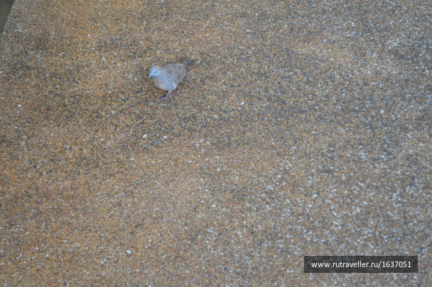 photo 1637416