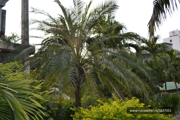 photo 1637420