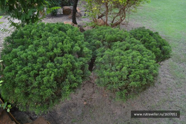 photo 1637421