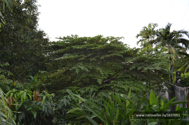 photo 1637426