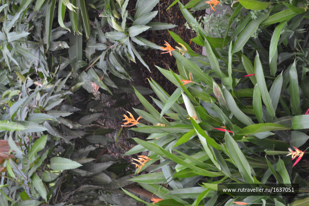 photo 1637428