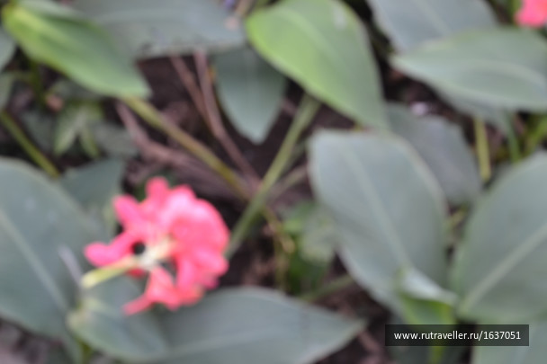 photo 1637434