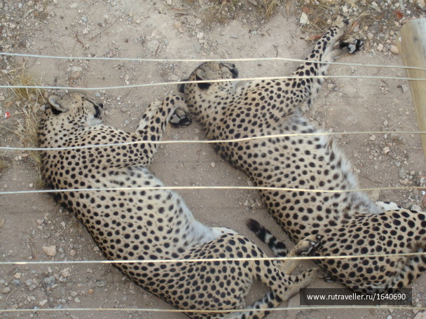 photo 1639725