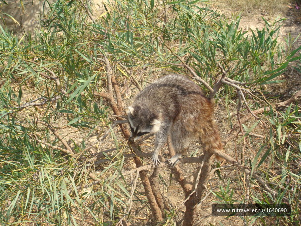 photo 1639728