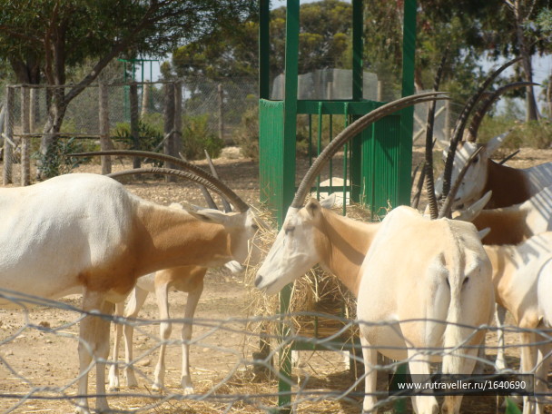 photo 1639736