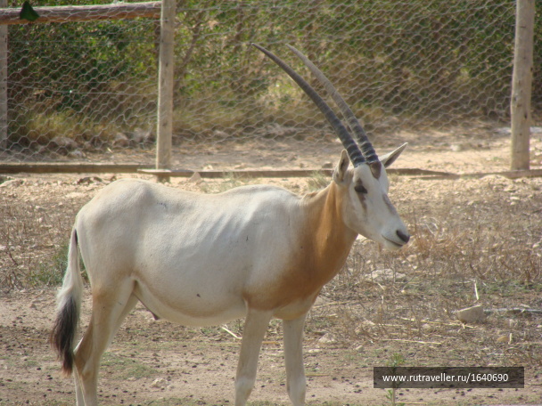 photo 1639737