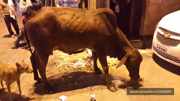 photo 1641331