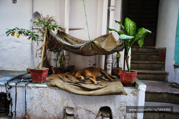 photo 1642949