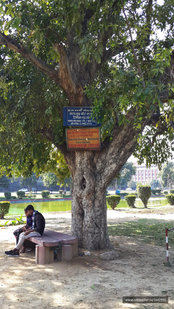 photo 1642973
