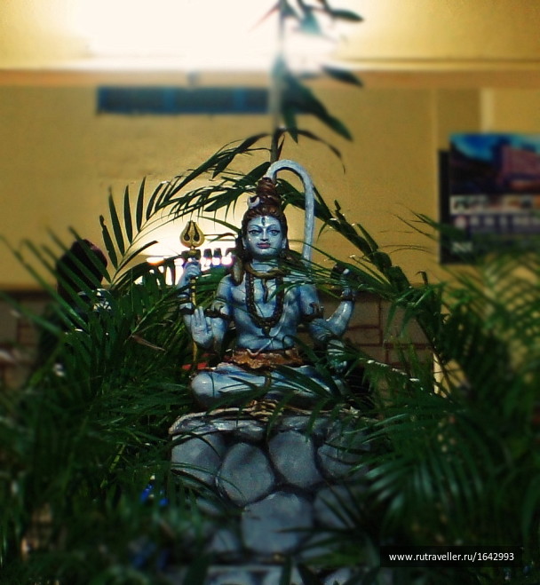 photo 1645929