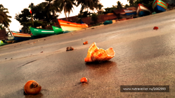 photo 1645943