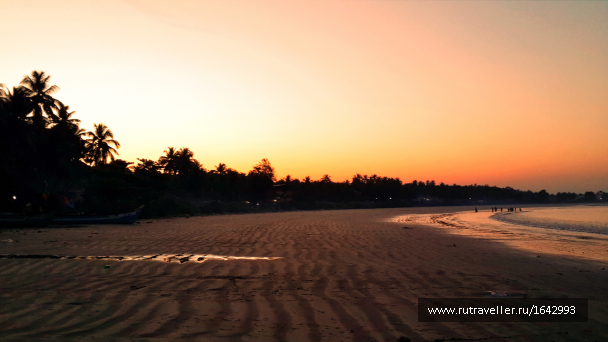 photo 1645946