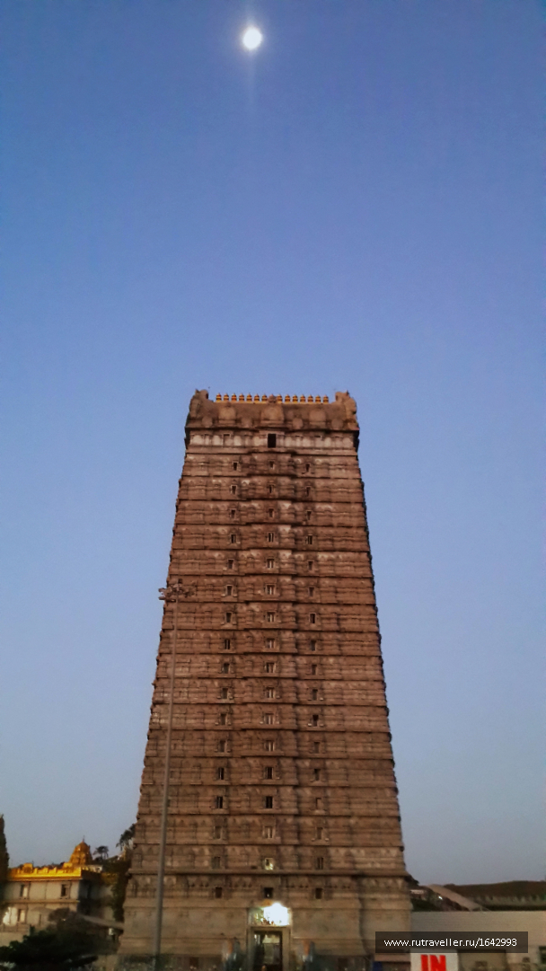 photo 1645948
