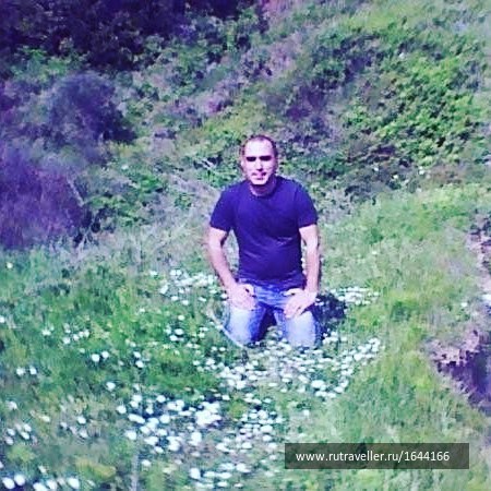 photo 1641526