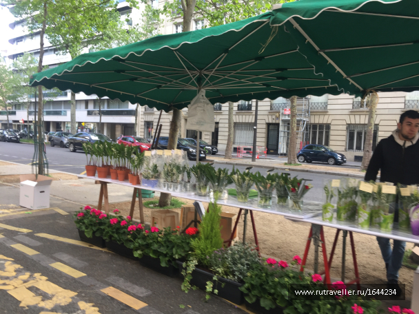photo 1643312