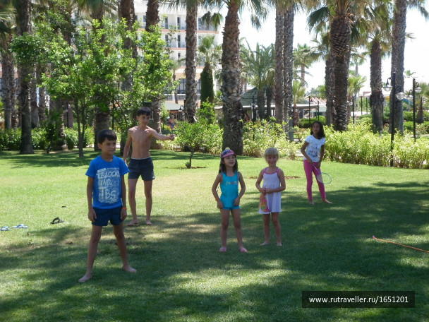 photo 237711