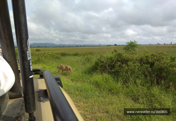 photo 1650221