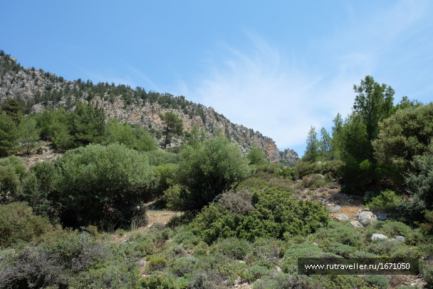 photo 1654732