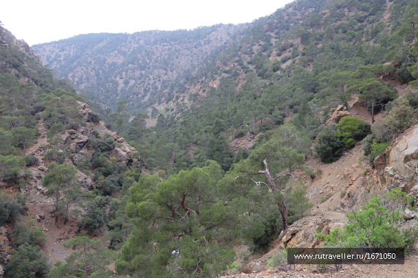 photo 1654740