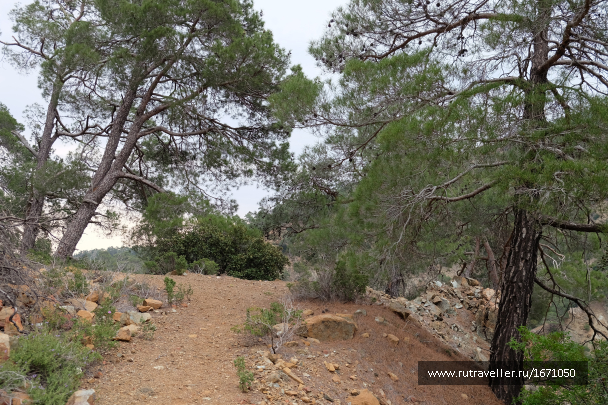 photo 1654741