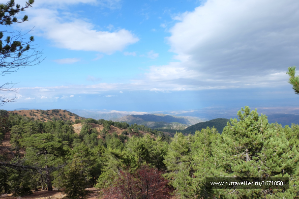 photo 1659479