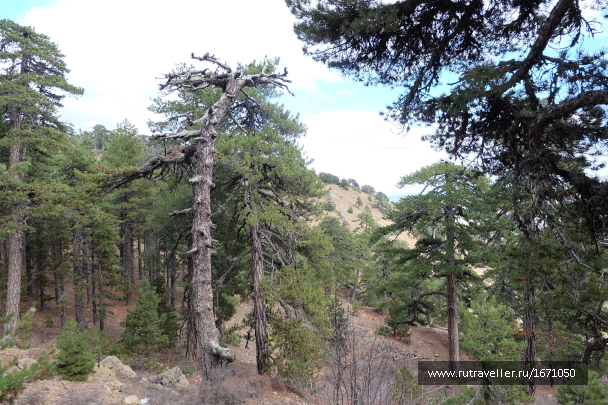 photo 1659484