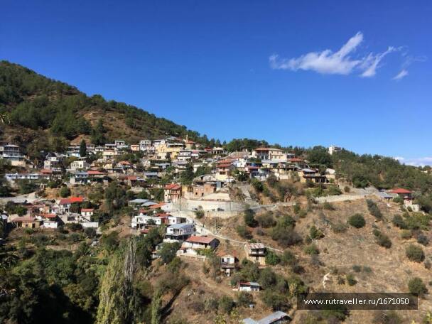 photo 1659516