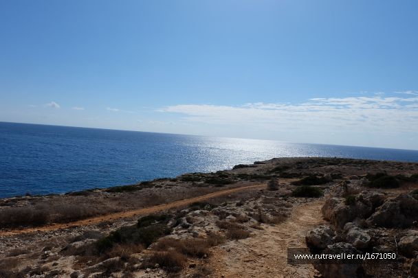 photo 1659524