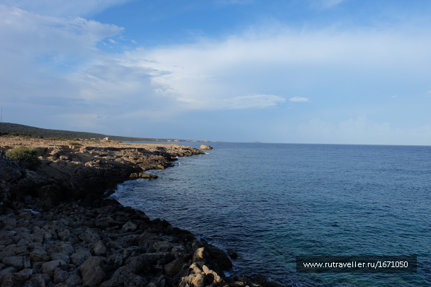 photo 1659543
