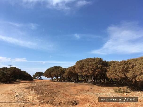 photo 1659563
