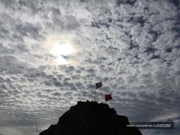photo 1659572