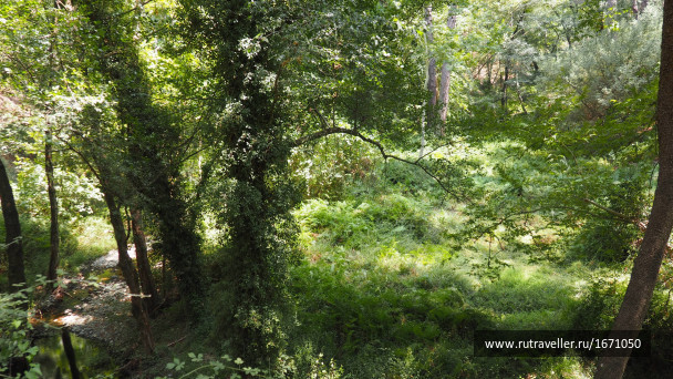 photo 1659580