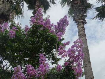 photo 1659139